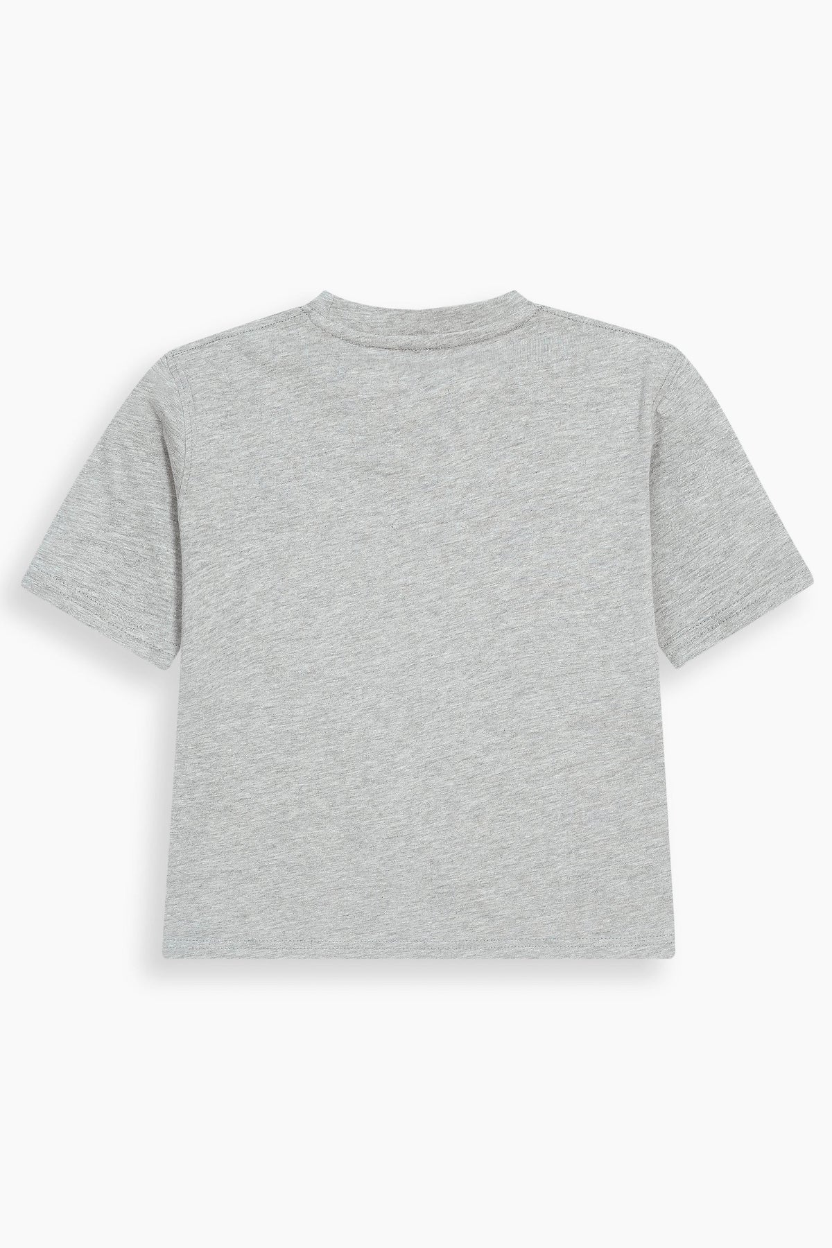 Cropped Short Sleeve T-Shirt Ash Grey